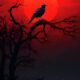 Enigmatic Crow at Dusk