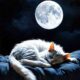 Moonlit Slumber